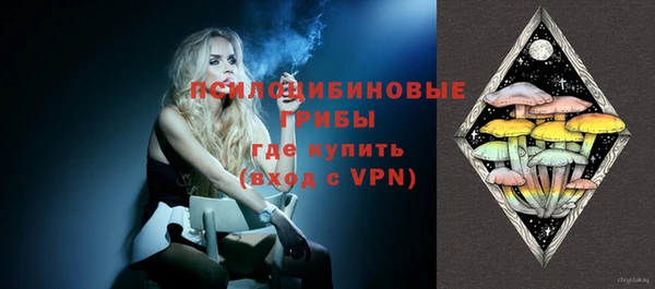 ECSTASY Абаза