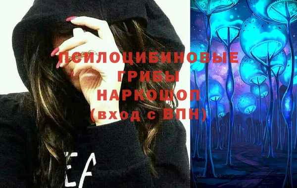 apvp Абинск