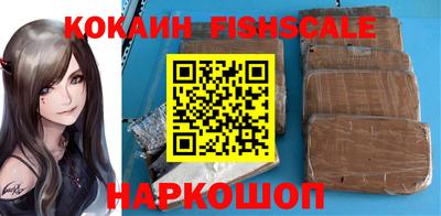 стафф Гатчина