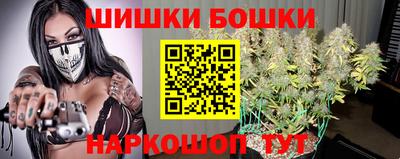 стафф Гатчина
