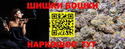 стафф Гатчина