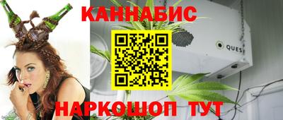 стафф Гатчина