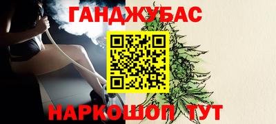 стафф Гатчина