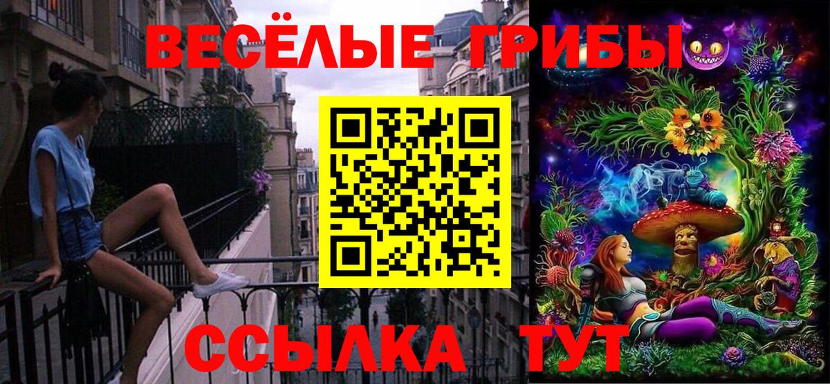 Псилоцибиновые грибы мухоморы  Вход с VPN  Галлюциногенные грибы GOLDEN TEACHER  Киров 