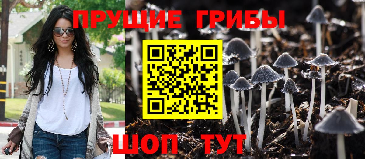 Галлюциногенные грибы Magic Shrooms Киров