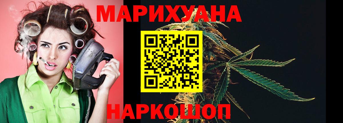 Каннабис сатива Киров